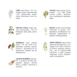 Carne in scatola per la crescita con tacchino ed erbe officinali (confezione da 24 pezzi)