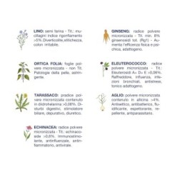 Snack maiale per cani grain free