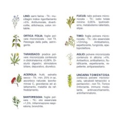 Carne in scatola per cani adulti con intolleranze alimentari con tacchino ed erbe officinali (confezione da 24 pezzi)