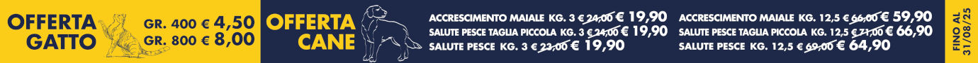 Prodotti in offerta