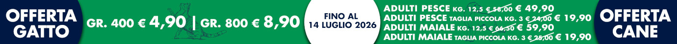 Prodotti in offerta