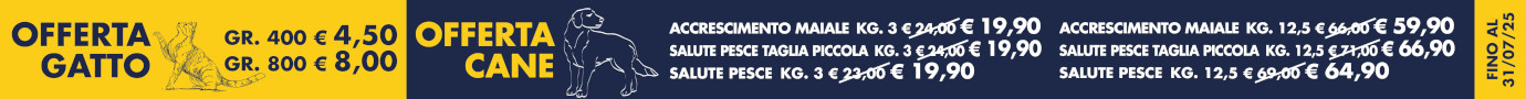 Prodotti in offerta