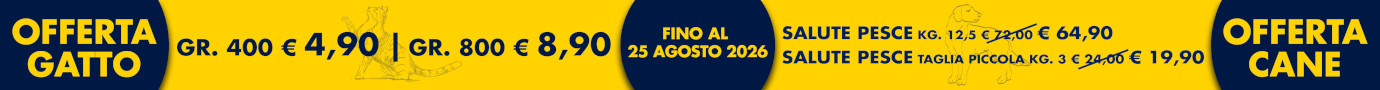 Prodotti in offerta
