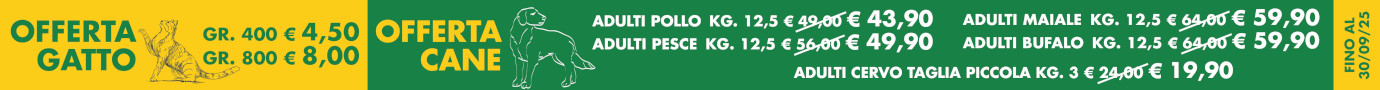 Prodotti in offerta