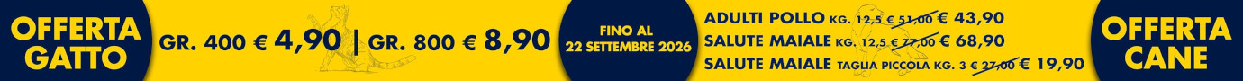Prodotti in offerta