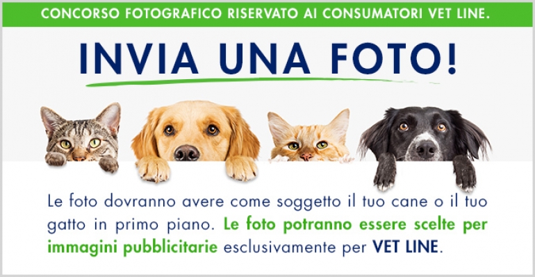 Concorso fotografico per cani e gatti riservato ai clienti Vet Line